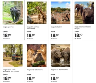 Dierentuin tickets voor €18,50 via Hema