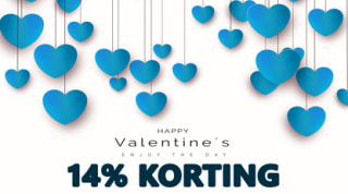 14% korting op huismerk inkt- en tonercartridges bij Sneltoner
