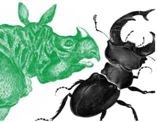 Rijksmuseum toegang voor 2 personen + kaleidoscope voor €5 en 500 ING punten