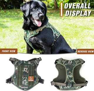 Arnés Pattepoint Antitirones Perros a tan solo 14,69€