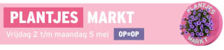Plantjesmarkt bij Gamma 2 t/m 5 mei