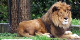 Estancia en el Hotel Las Provincias 3* + Zoo Aquarium de Madrid por 47€ pxp (Mín,2p)
