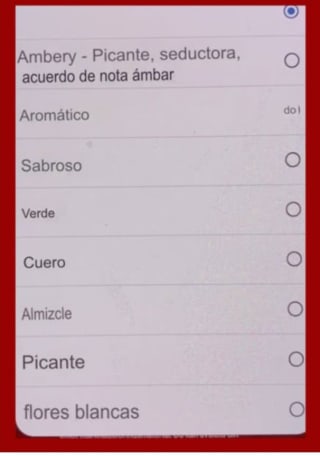 Muestra Gratis Sí de Giorgio Armani.