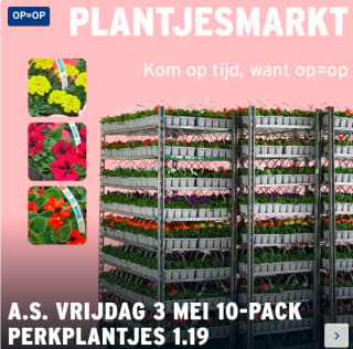 Perkplantjes 10 voor €1,19 bij Gamma tijdens plantjesmarkt