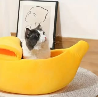 Cama de Plátano para Gato por 4,02€