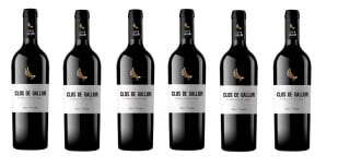6 Botellas de Clos de Gallur 2021 por 38€