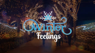 Kortingscode aanvragen voor gratis 2e bezoek aan Toverland Winter