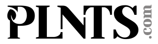 Plnts.com kortingscode voor 15% korting op je bestelling