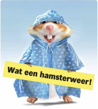Vanaf maandag weer hamsteren bij AH!