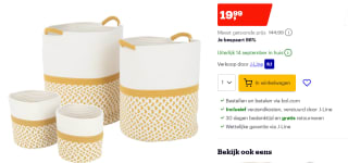 Prijsfouten! J-Line Set Van Drie Manden Lucie Raffia Naturel voor €19,99 bij Bol.com