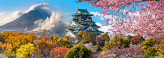 Japón 20 días Tokio, Hakone, Kioto, Hiroshima, Osaka y Okinawa por 1.375€