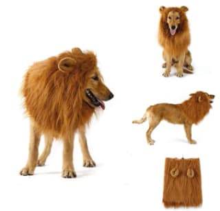Peluca de Melena de león para Perro con Orejas por solo 10,99€