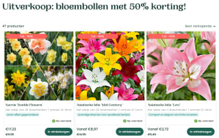 50% korting op bloembollen bij Bakker