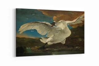 2 schilderijen naar keuze voor de prijs van 1