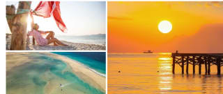 Vuelos ida y vuelta desde 12€ playas Españolas