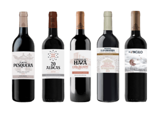 5 botellas vino Colección Fernández Rivera por 45€