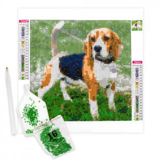 Diamond painting met eigen foto met 74% korting