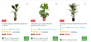 Tot 15% korting op kamerplanten bij Intratuin