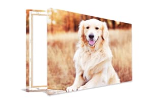 Canvas 50x70 cm voor €14,99 met gratis verzending