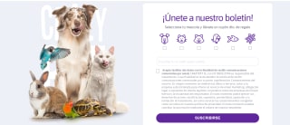 Cupón descuento para tu priera compra en Crazy pet