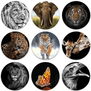 75% korting op wandcirkels met de Canvascompany code