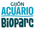 Oferta entrada Acuario Gijón desde solo 8€