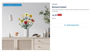 Playland boeket bouwset - Rozen en 2 boeketten voor €14,99 bij de Aldi