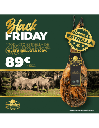 Paleta de Bellota 100% Ibérica por 89€