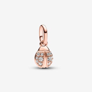 Charm Pandora desde solo 9€ dos modelos