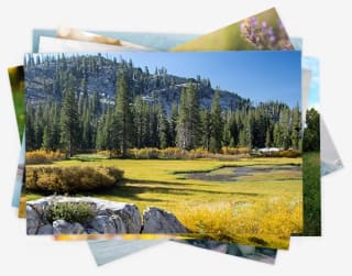 Gratis 10 fotos impresas de Freeprints