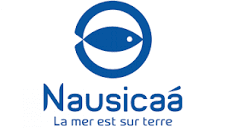 Profitez des billets enfants pour le parc Nausicaa à partir de 18€