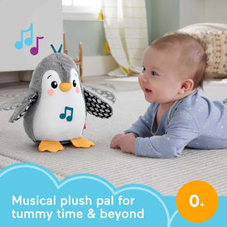 Fisher-Price Newborn - Flap & Wobble Pengui voor €24,99 bij Amazon