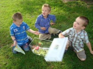 Koolwitjes kweken in de klas, of thuis voor €32.50