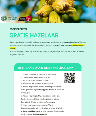Gratis hazelaar boom voor inwoners van Limburg