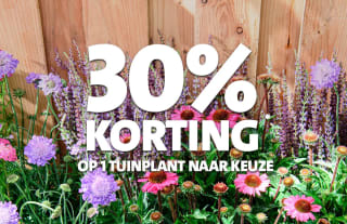 30% korting op 1 tuinplant en 1 kamerplant naar keuze bij Intratuin