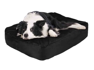 Cama inflable para perro por 6.99€