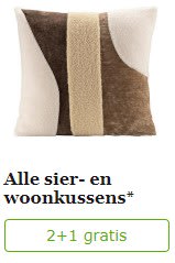 2+1 gratis op alle sier - woonkussens bij Leen Bakker