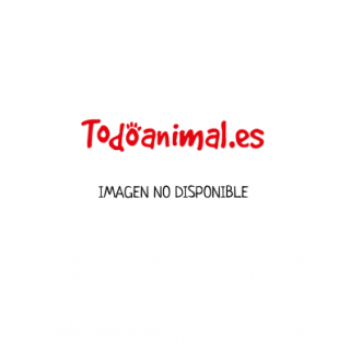 Family days en todo animal