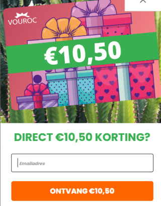 1+1 in de totale leegverkoop bij Vouroc