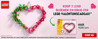 Gratis Lego valentijnscadeau bij aankoop van 2 Lego bloemen sets