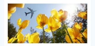 Vuelos " relámpago" en primavera desde 18€ ida/vuelta.