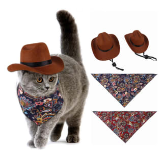 Sombrero + bufanda para gato por $7,98 en AliEspress