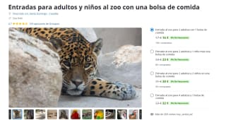 Entrada al zoo para 2 adultos con 1 bolsa de comida en Zoo Koki