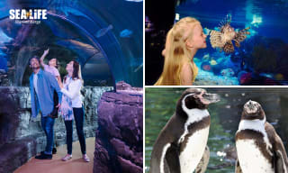 Naar Sea Life Blankenberge (België) voor €17,50