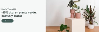15% dto en planta verde, cactus y crasas
