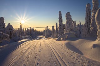 Retourtje Charleroi - Lapland voor €33,23