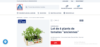 Lot de 6 plants de tomates anciennes Gardenline à 3,99€