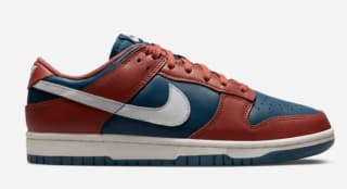 Nike Dunk Low Retro Canyon Rust sneakers voor €55 bij Nakedcph