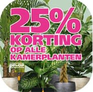 25% korting op alle kamerplanten bij Ranzijn
