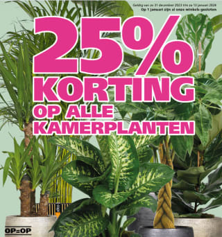 25% korting op alle kamerplanten bij Ranzijn